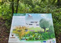 379255454_763297042473819_5557791495405883187_n