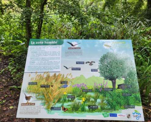 379255454_763297042473819_5557791495405883187_n