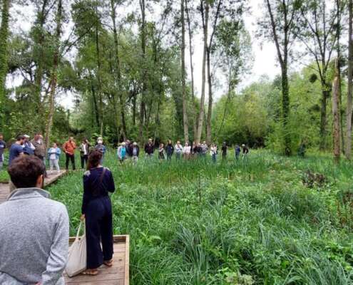 386085085_339016148638850_8182365474091165304_n