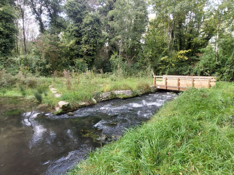 Restauration écologique de la Juine à Saint-Denis